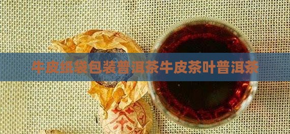 锡纸牛皮纸袋普洱茶