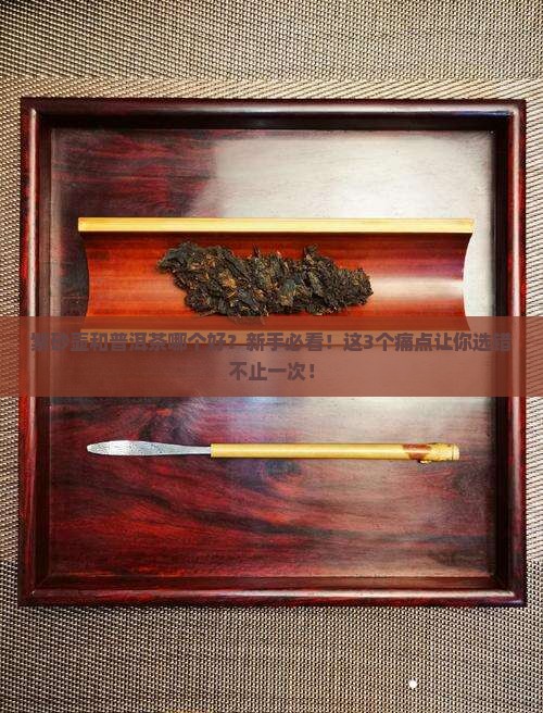 紫砂壶与普洱茶哪个好