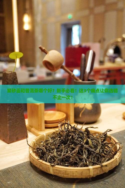 紫砂壶与普洱茶哪个好