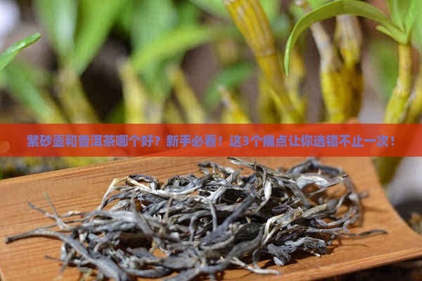 紫砂壶与普洱茶哪个好
