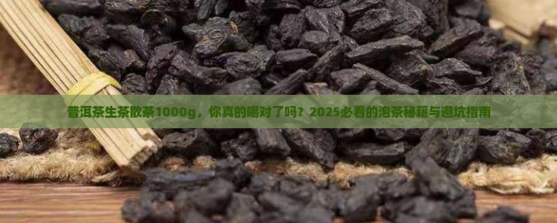 普洱茶生茶散茶1000g