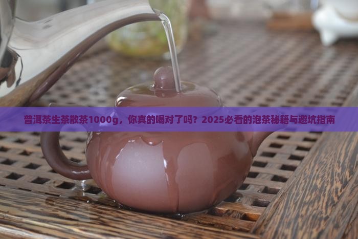 普洱茶生茶散茶1000g