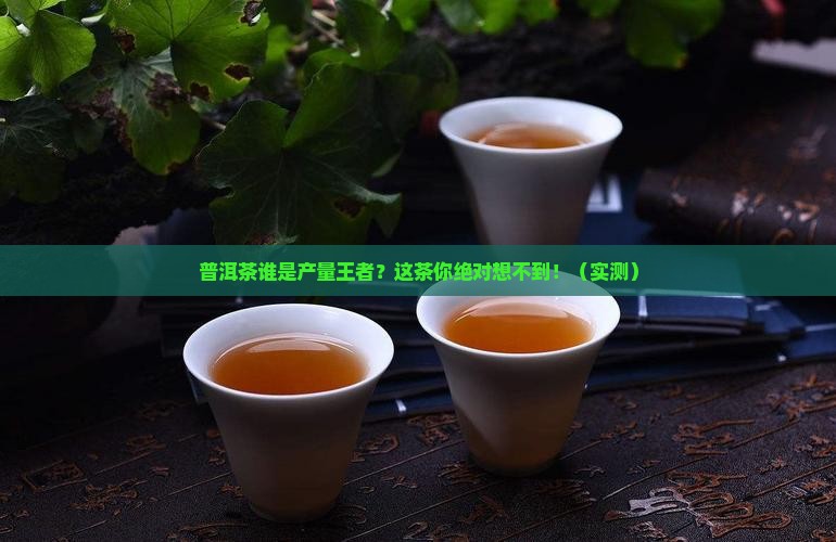 普洱茶产量最高的是哪个茶