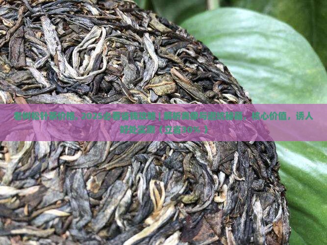 老树松针茶价格