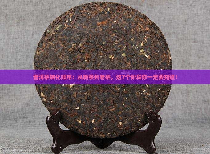 普洱茶转化顺序
