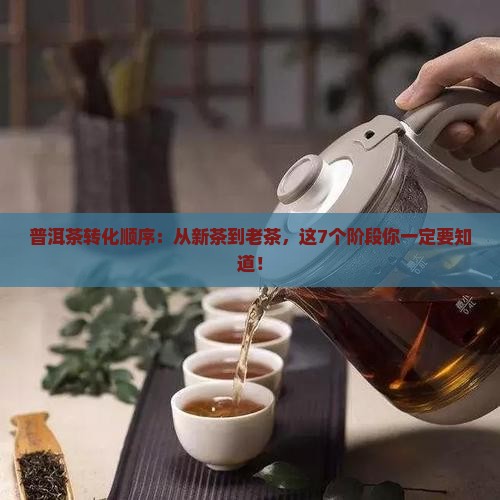 普洱茶转化顺序