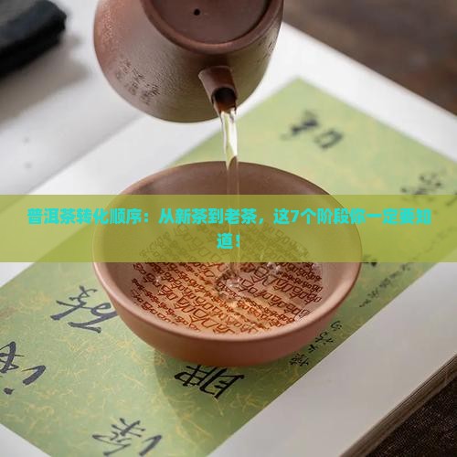 普洱茶转化顺序