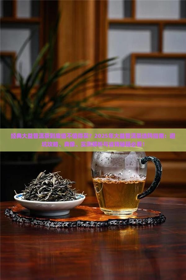 经典大益普洱茶