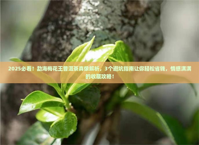 勐海梅花王普洱茶