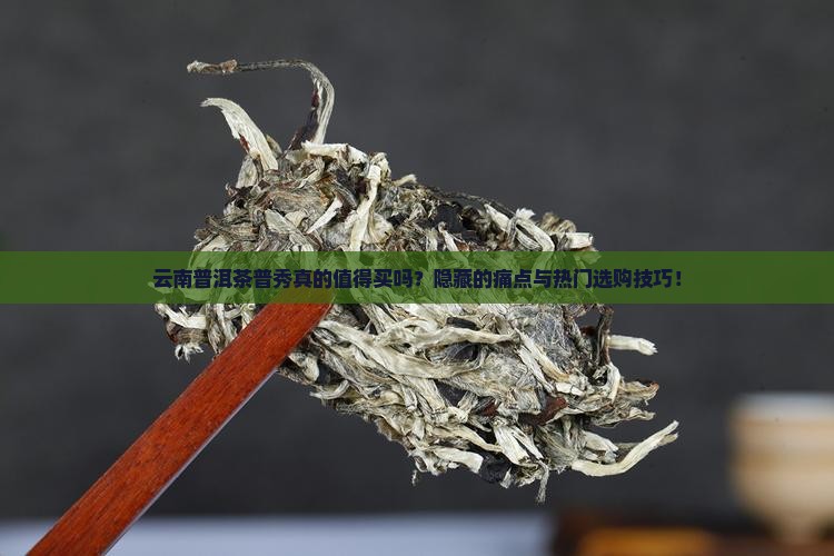 云南普洱茶普秀
