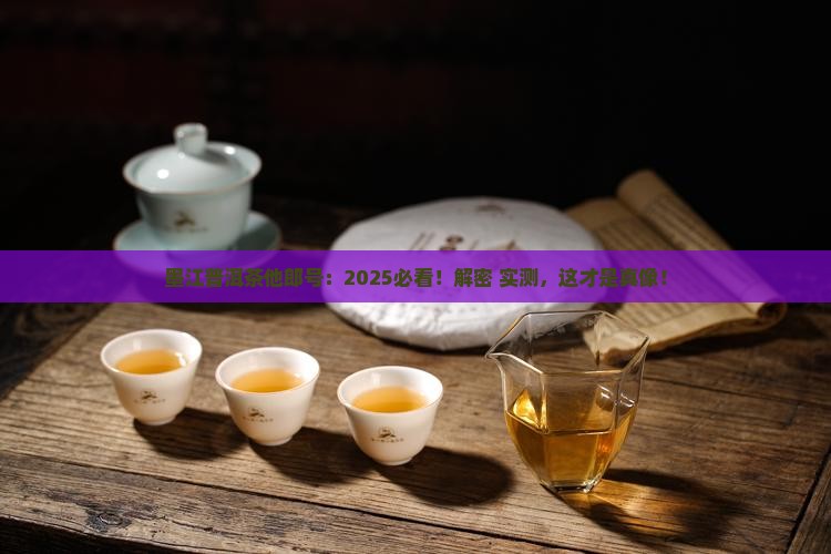 墨江普洱茶他郎号