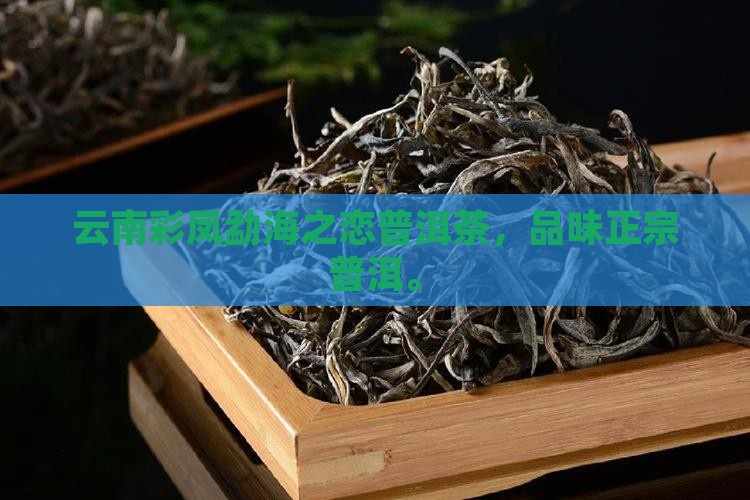 彩凤勐海之恋普洱茶