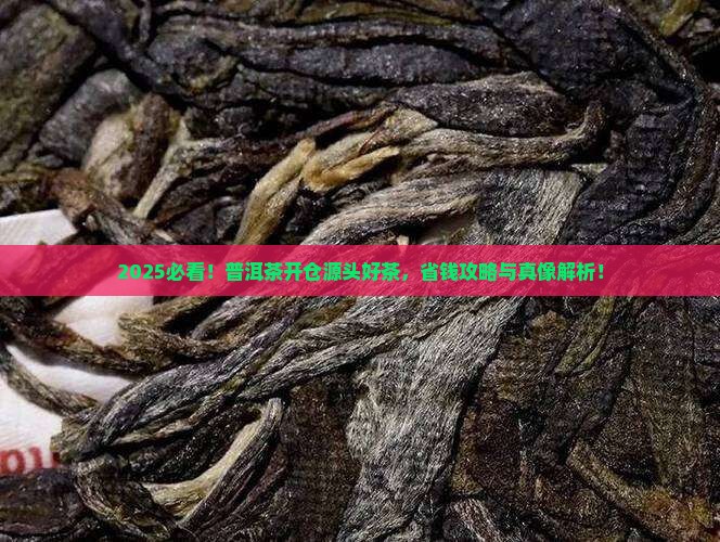 普洱茶开仓放粮源头好茶