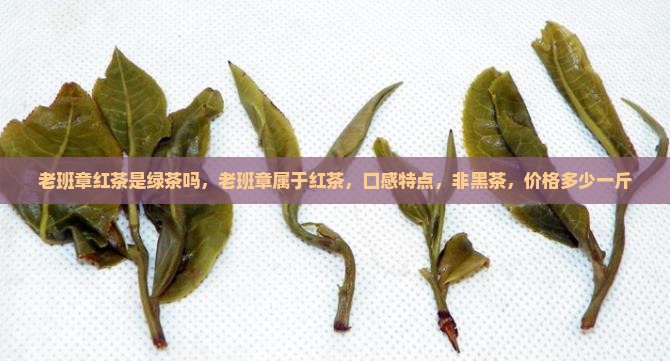 老班章红茶是绿茶吗