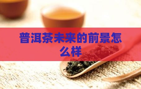 普洱茶未来的前景怎么样
