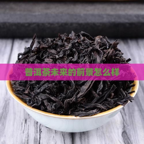 普洱茶未来的前景怎么样