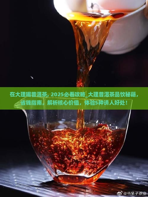 在大理喝普洱茶