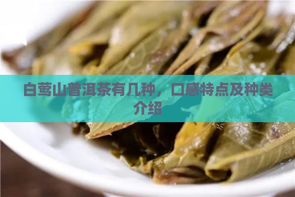 白莺山普洱茶有几种