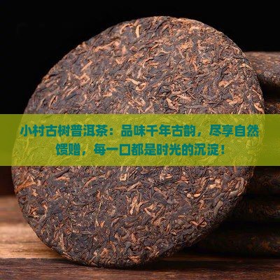 小村古树普洱茶