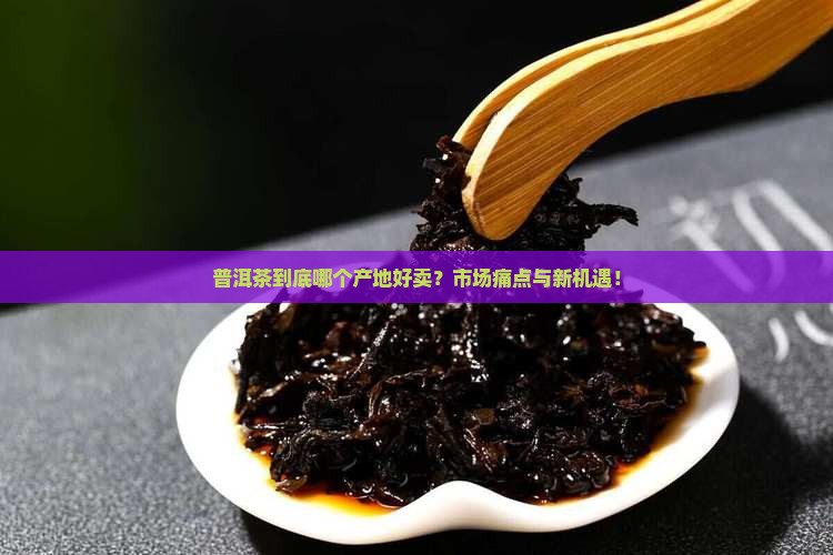 普洱茶在哪个产地好卖