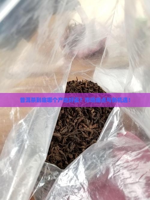 普洱茶在哪个产地好卖