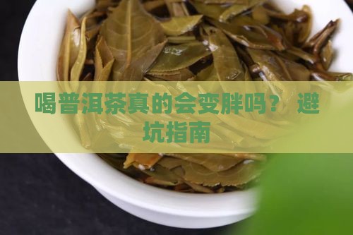 喝普洱茶能变胖