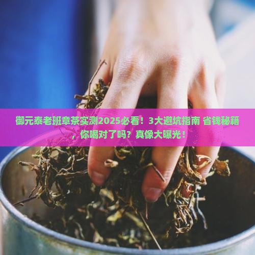 御元泰老班章茶