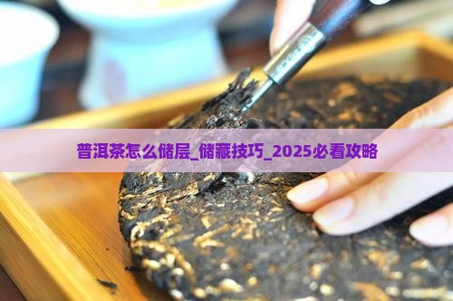 普洱茶怎么储层