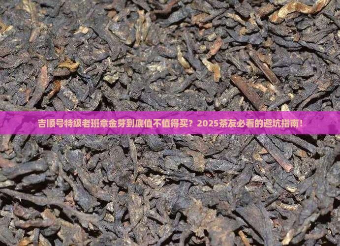 吉顺号特级老班章金芽