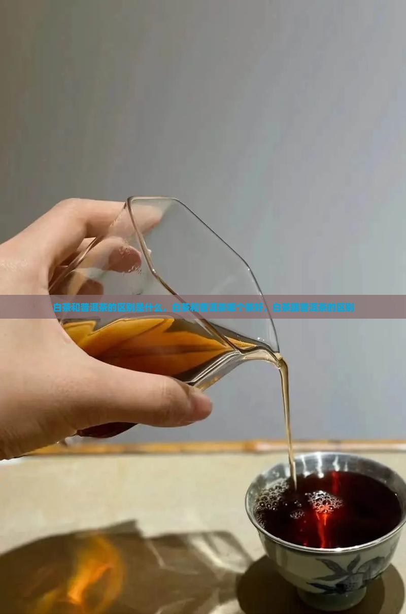 白茶和普洱茶的区别是什么