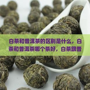 白茶和普洱茶的区别是什么