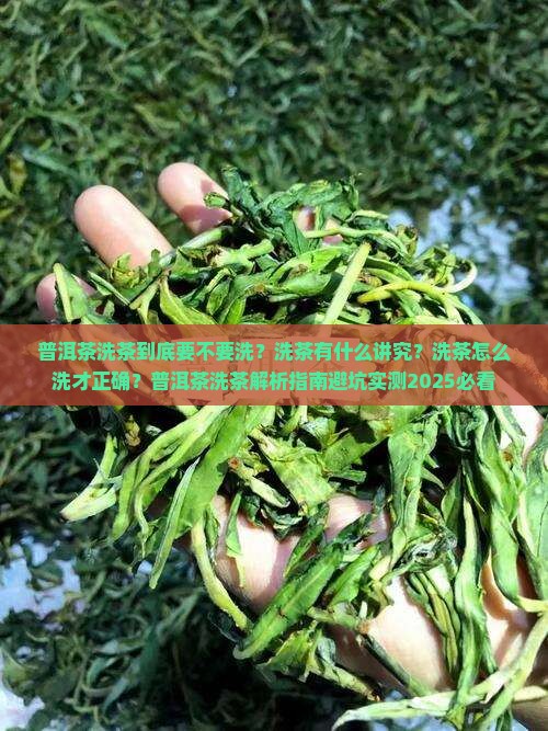 普洱茶洗茶注意什么