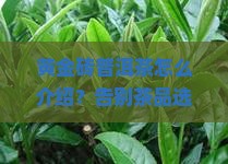 黄金砖普洱茶怎么介绍