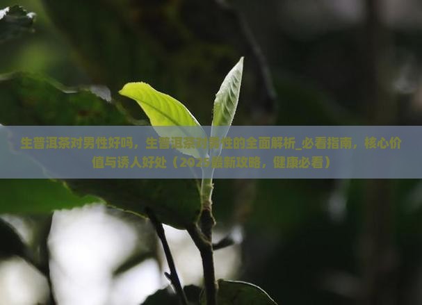 生普洱茶对男性好吗