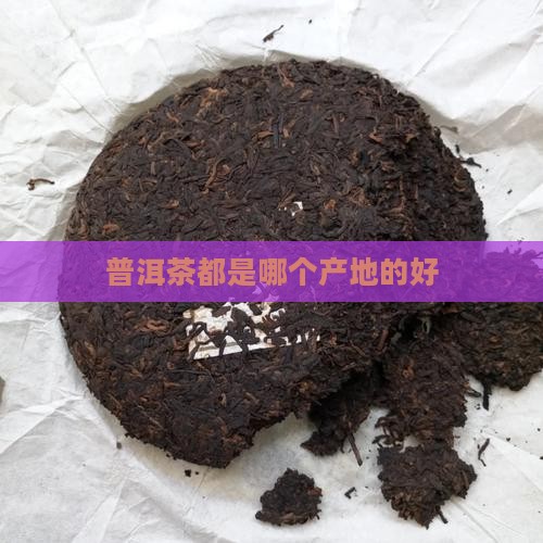 普洱茶都是哪个产地的好