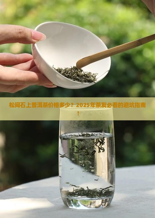 松间石上普洱茶价格是多少