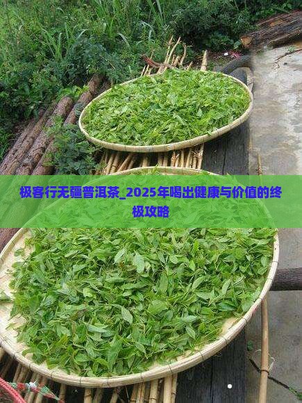 极客行无疆普洱茶