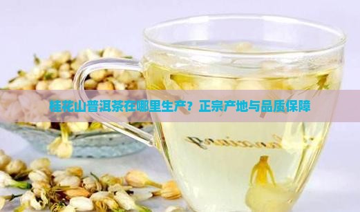 桂花山普洱茶在哪里生产