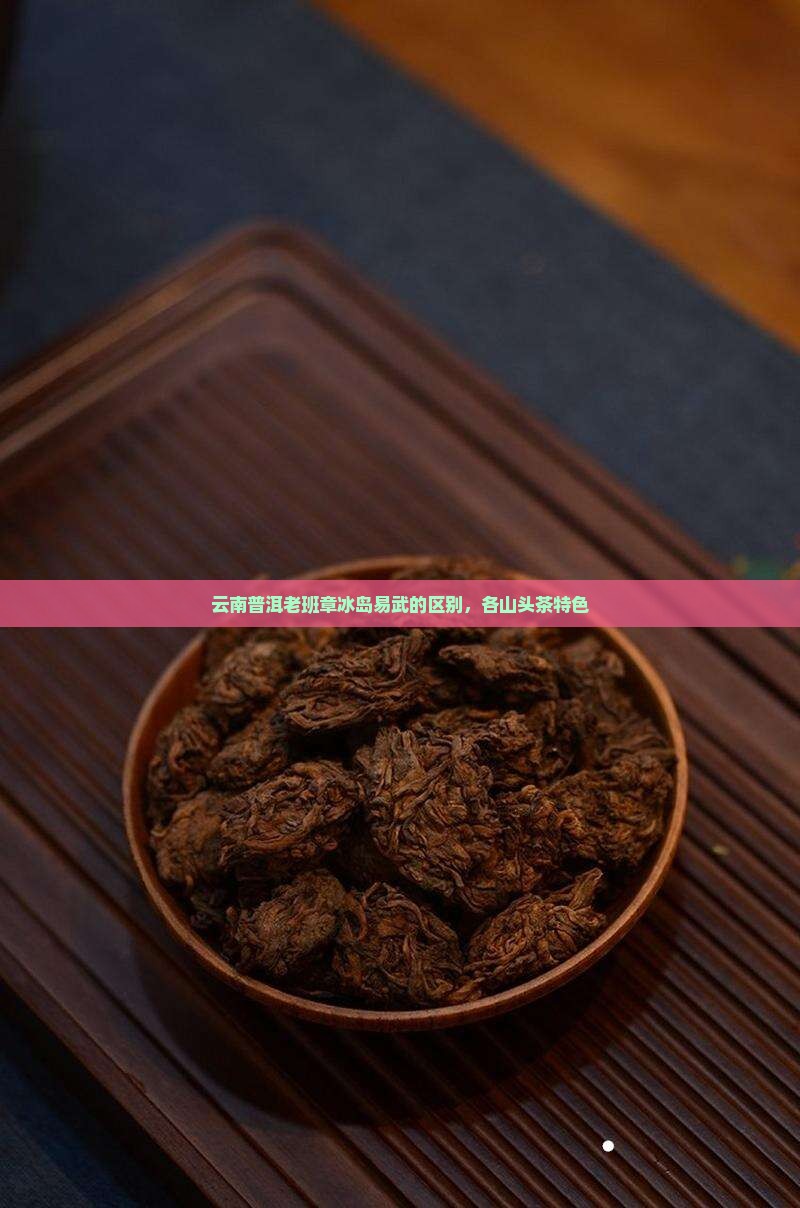 云南普洱老班章冰岛易武