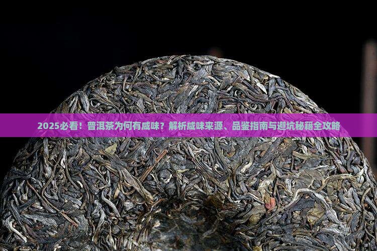 普洱茶有咸味是怎么回事