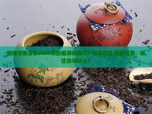 熊猫饼普洱茶2003