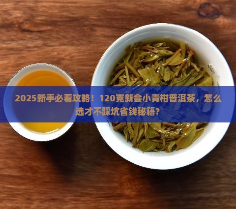 新会小青柑普洱茶120克