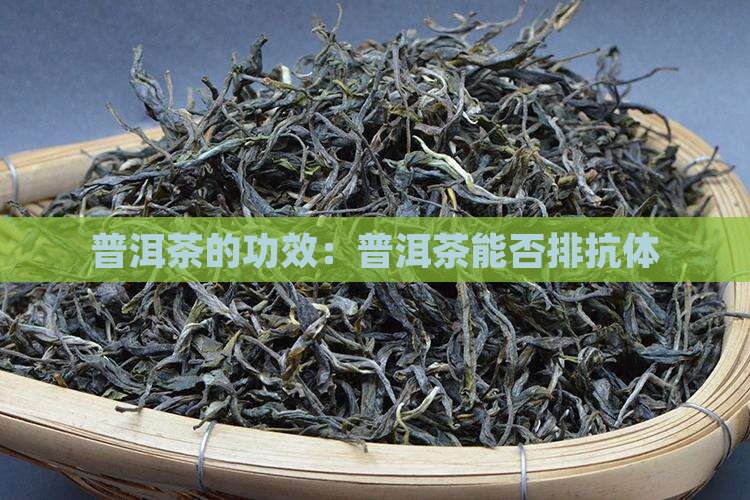 普洱茶可以排抗体吗