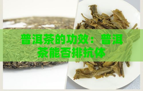 普洱茶可以排抗体吗