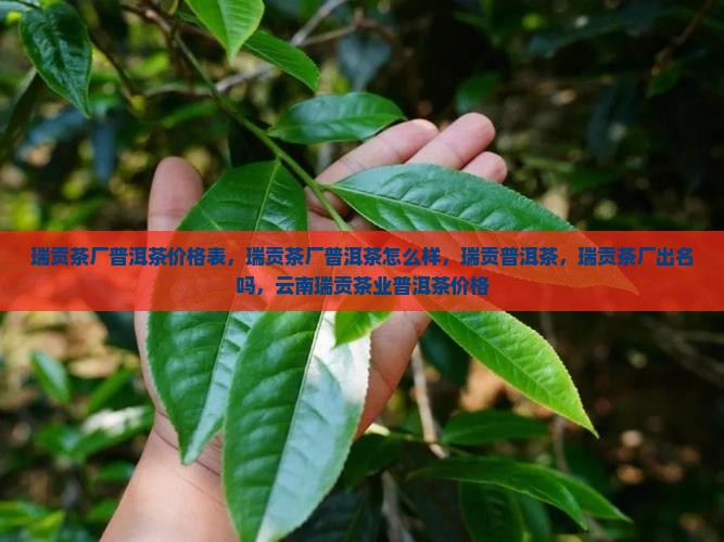 瑞贡茶厂普洱茶