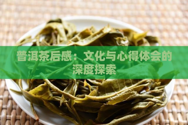 普洱茶的学后感