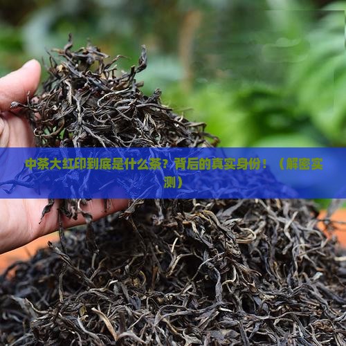 中茶大红印是什么茶