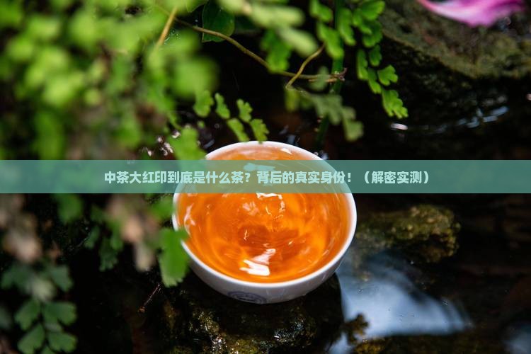 中茶大红印是什么茶