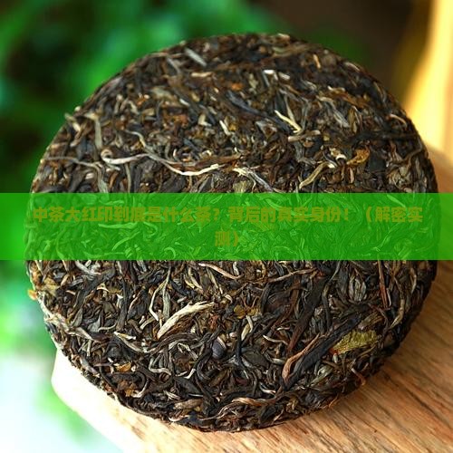 中茶大红印是什么茶