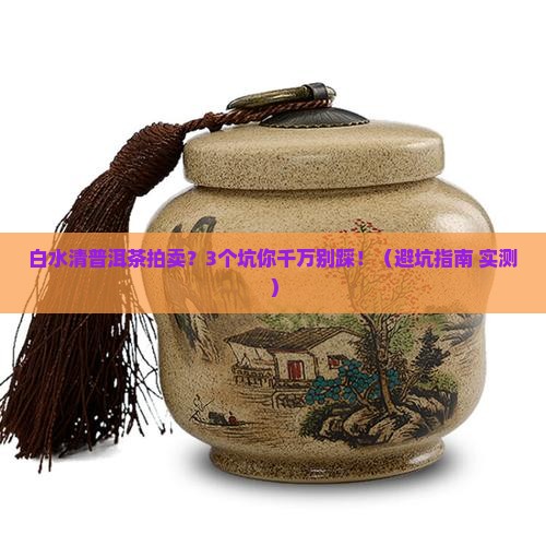 白水清普洱茶拍卖